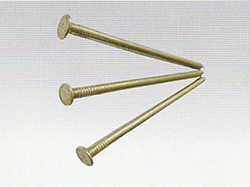 Common Nail