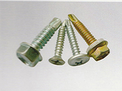 Self Drilling Screw