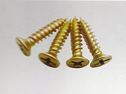 Self Tapping Screw