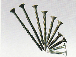 Drywall Screw